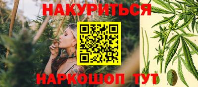 дурь Можга