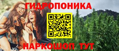 дурь Можга