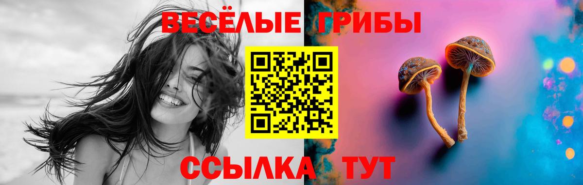 Псилоцибиновые грибы ЛСД  Вход с VPN  сколько стоит  Вологда 